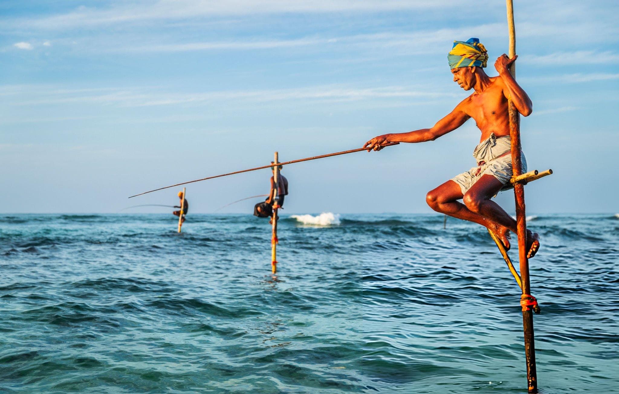 Stilt fishermen in Sri Lanka